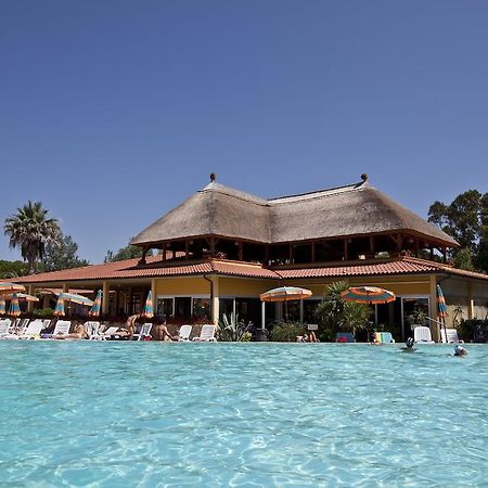 Camping Free Beach Marina Di Bibbona Kültér fotó