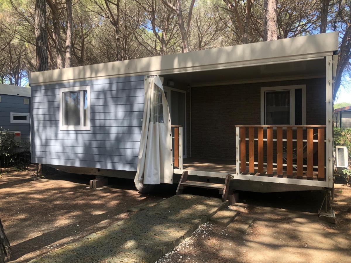 Camping Free Beach Marina Di Bibbona Kültér fotó